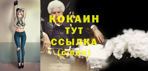 винт Богданович