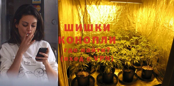 гашик Богородск