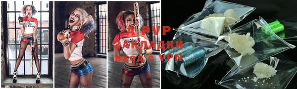 винт Богданович