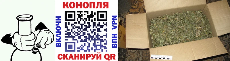 Конопля индика хочу наркоту Семикаракорск